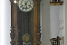 В саратовском музее выхухоль стал символом уходящего времени